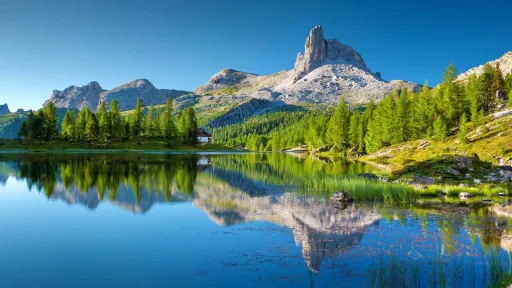 Alps