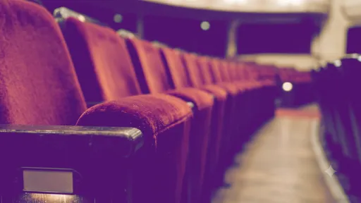 Audience icon