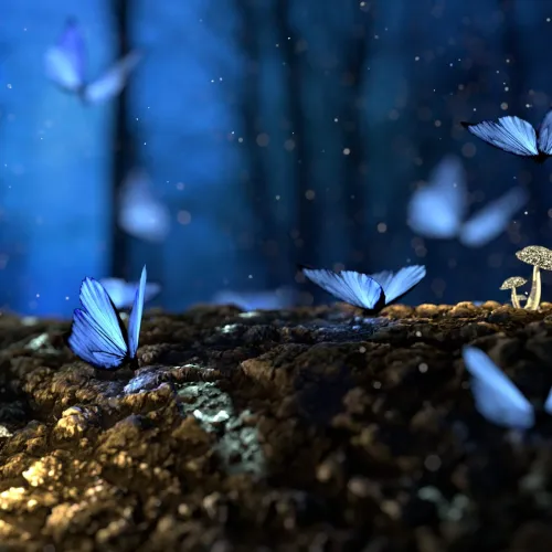 Blue butterflies 